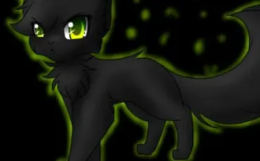 Quiz Erin hunter