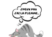 Quiz J'ai la flemme en : vrai ou faux !