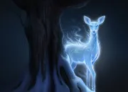 Test Quel serait ton patronus dans ''Harry Potter'' ?