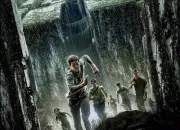 Test Qui est ta petite amie dans ''The Maze Runner'' ?