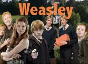 Test Ta famille dans ''Harry Potter'' (ton pre)