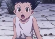 Quiz Quel est ce personnage 'Hunter x Hunter' ?