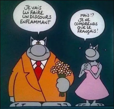 Tout d'abord je vous rappelle la description : J'espère qu'elle est bien écrite !
''Je vous saurais reconnaissante, enfin je veut dire je vous serais gré de ne pas m'en vouloire si je fais quelques fautes, ce n'est pas facile d'en faire aucunes."
 Quel est votre avis ?