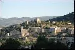 Entre Lure et Ventoux, le village mdival domin par les ruines de son chteau, est bien  l'abri, dans un havre de verdure qui contraste avec les paysages arides de la rgion.