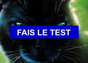 Test Quel est ton nom dans LGDC ?