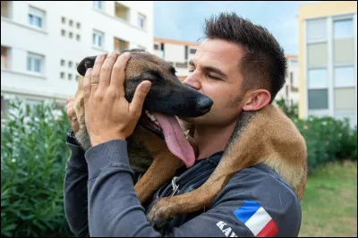 Les chiens sont les meilleurs animaux de l'Homme :