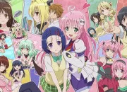 Test Qui es-tu dans ''To Love-Ru'' ?