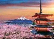 Quiz Vrai ou faux sur le Japon ! (2)