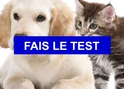 Test De quelle saga fais-tu partie ?