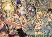 Test Qui es-tu dans ''Fairy Tail'' ?