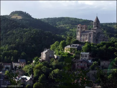 Le Saint-Nectaire est une spécialité de...