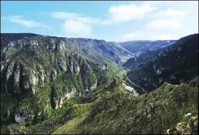 À 870 mètres d'altitude le ''Point Sublime'', belvédère très fréquenté, surplombe les eaux vertes de la rivière. Quelles sont ces gorges ?