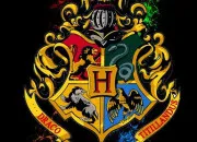 Test ''Harry Potter'' - Qui es-tu ?