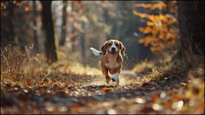 Si tu étais un animal, que ferais-tu en priorité ?