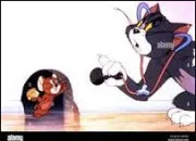 Quiz Tom et Jerry