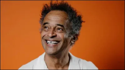 Avant de se lancer dans la chanson, dans quel sport Yannick Noah s'est-il illustré ?