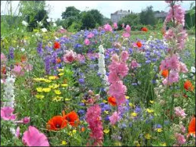 Combien de variétés de fleurs existe-il en France ?