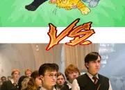 Quiz ''La Guerre des clans'' ou ''Harry Potter'' ?