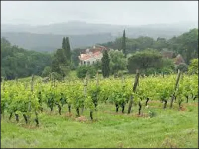 Je vous propose de commencer cette balade au milieu des vignes, à Cabidos. Village viticole Béarnais, traversé par le Luy, il se situe dans le département ...