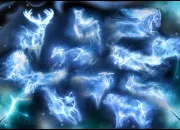 Test Quel est ton Patronus dans ''Harry Potter'' ?