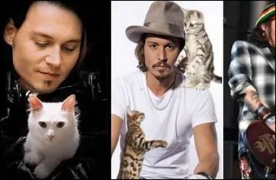 Pour toi Johnny Depp c'est un :