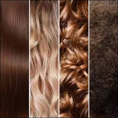 Pour commencer, quelle couleur de cheveux te plait le plus chez un garçon ?