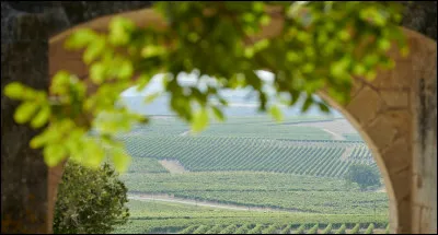 La commune de Cognac est l'une des sous-préfectures de la Charente-Maritime.