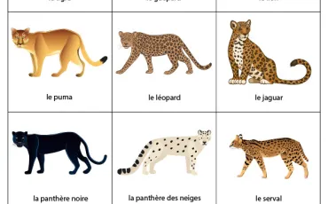 Quiz Animaux