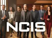 Quiz Retrouvez ''NCIS : Enqutes Spciales'' pour une 21e saison indite et riche en motions !