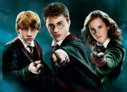 Test Quel personnage de ''Harry Potter'' es-tu ?