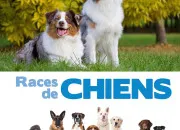 Quiz Les races de chiens