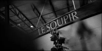 Qui chante "Je voudrais oublier le temps / Pour un soupir, pour un instant / Une parenthèse après la course / Et partir où mon cur me pousse..." dans sa chanson "Parler à mon père" ?