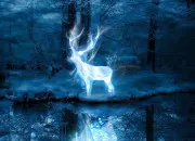 Quiz Les patronus