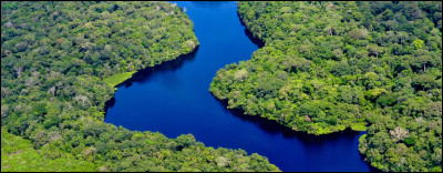 Sur quel pays sétend majoritairement la forêt amazonienne ?