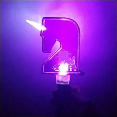 À quel groupe ce lightstick appartient-il ?