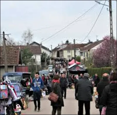 Pour commencer, je vous emmène à la brocante d'Amerey. Hameau de Lorraine, dans l'arrondissement d'Épinal, il se situe dans le département ...