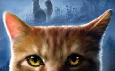 Quiz Erin hunter