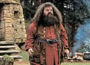 Quiz Rubeus Hagrid