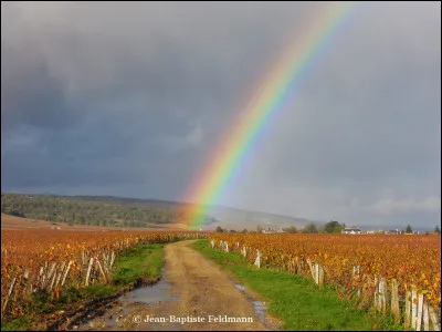 Quelle couleur ne fait pas partie de l'arc-en-ciel ?