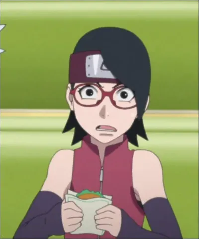 Quel est le nom du clan de Sarada ?