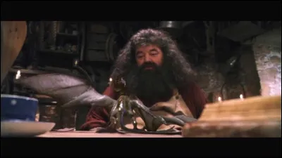 Quelle est la couleur de l'uf de dragon de Hagrid ?