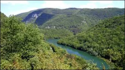 Quel est le gentilé pour les habitants du département de l'Ain, de façon générale ?