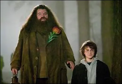 Au début du film, Hagrid dépose Harry au pied de la porte des Dursley. Que fait-il ensuite ?