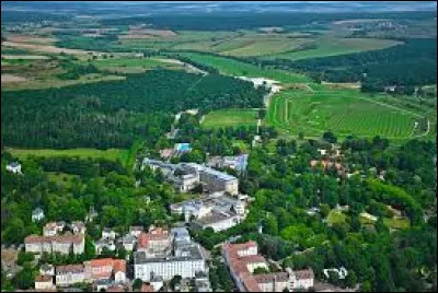 La ville de Vittel se situe dans les Vosges.