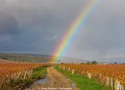 Quiz L'arc-en-ciel vous offre ses couleurs !