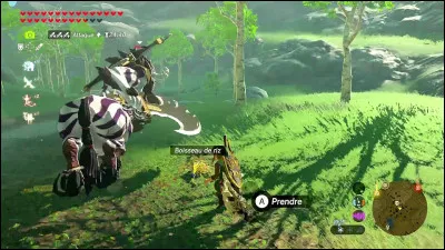 Face à un Lynel d'argent, que fais-tu ?