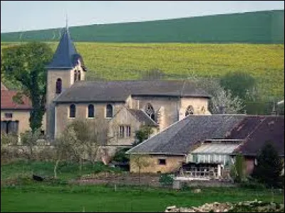 Notre balade dominicale commence en Lorraine, à Chaumont-devant-Damvillers. Petit village de 47 habitants, dans l'arrondissement de Verdun, traversé par la Thinte, il se situe dans le département ...