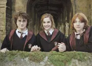 Test Quelle personne du Golden Trio es-tu ?