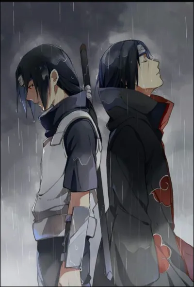 Question Naruto : Quel personnage n'a jamais fait équipe avec Itachi ?