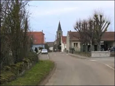 Pour commencer la semaine, je vous emmène à Amoncourt. Village de l'aire d'attraction Vésulienne, il se situe dans le département ...